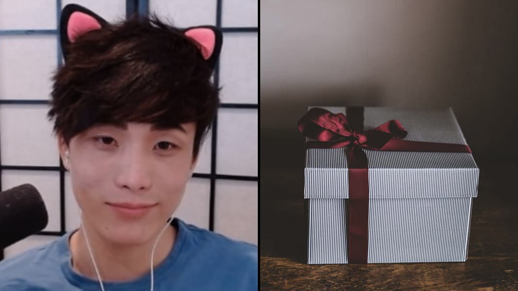 Sykunno with cat ears on next to a wrapped gift