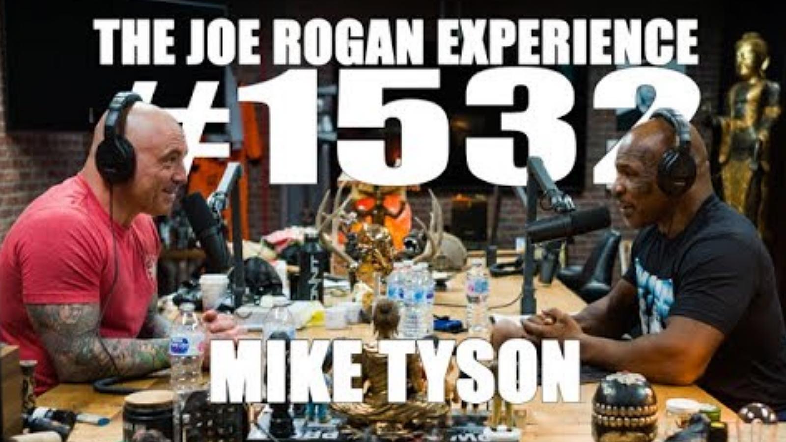 Mike Tyson on Joe Rogan podcast