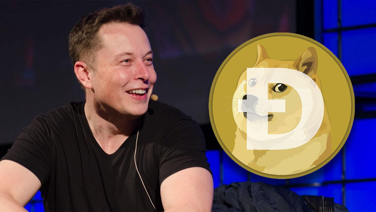 Elon Musk Doge Coin