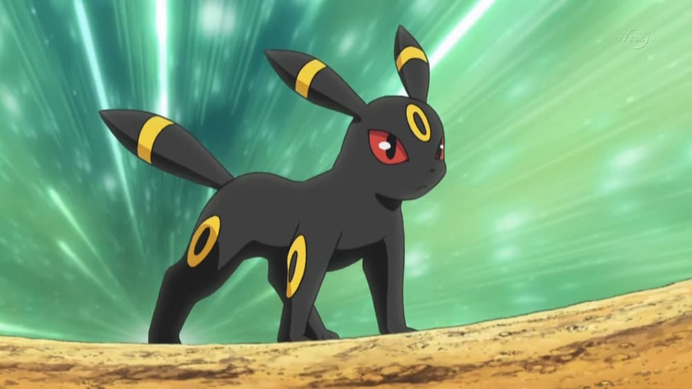 An image of Umbreon from the Pokemon anime