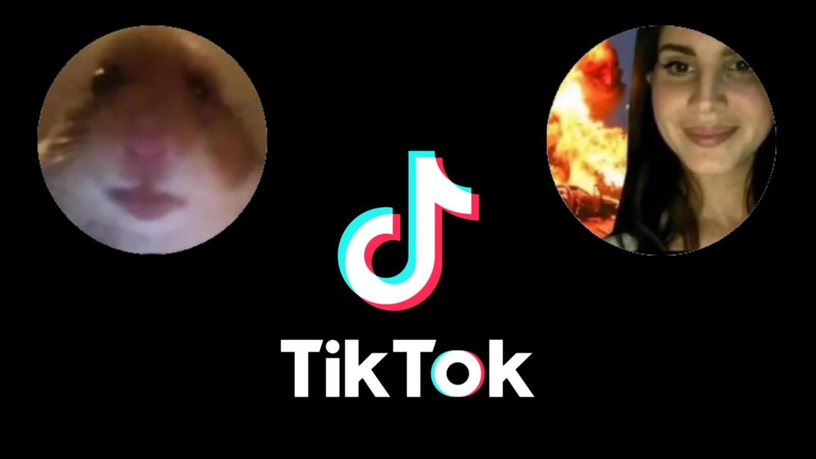 TikTok logo alongside the TikTok cult profile pictures