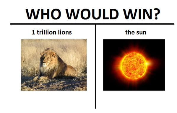 lions vs sun