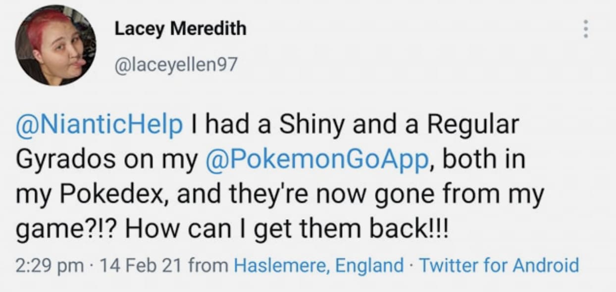 Screenshot of Pokemon fan claiming their Shiny Gyrados disappeared.