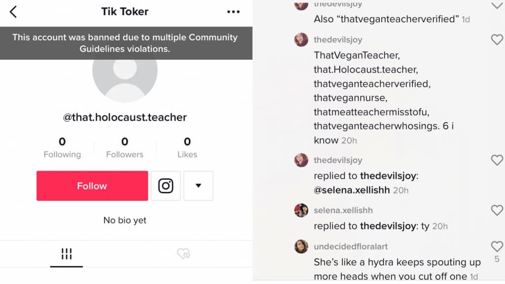 That Vegan Teacher multiple accounts banned on TikTok