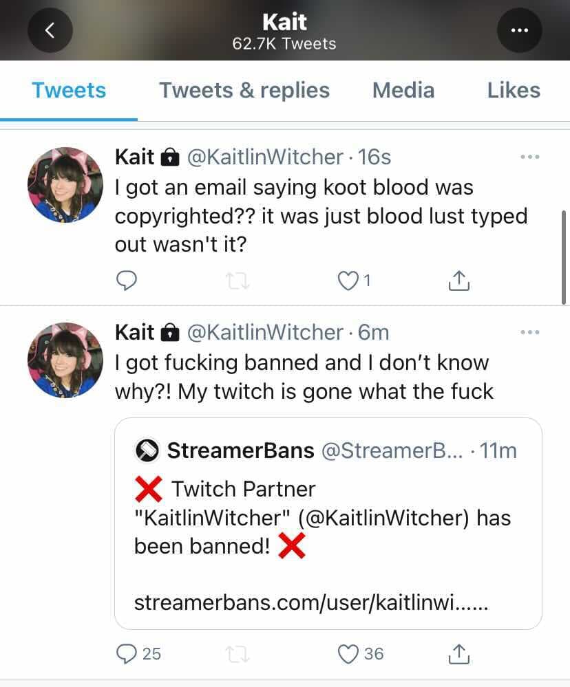 KaitlinWitcher reacts to Twitch ban 2