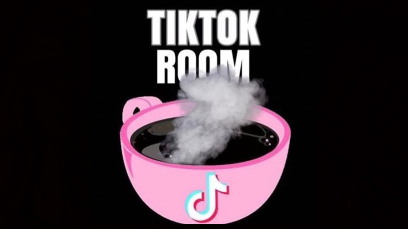 TikTokRoom instagram account disabled