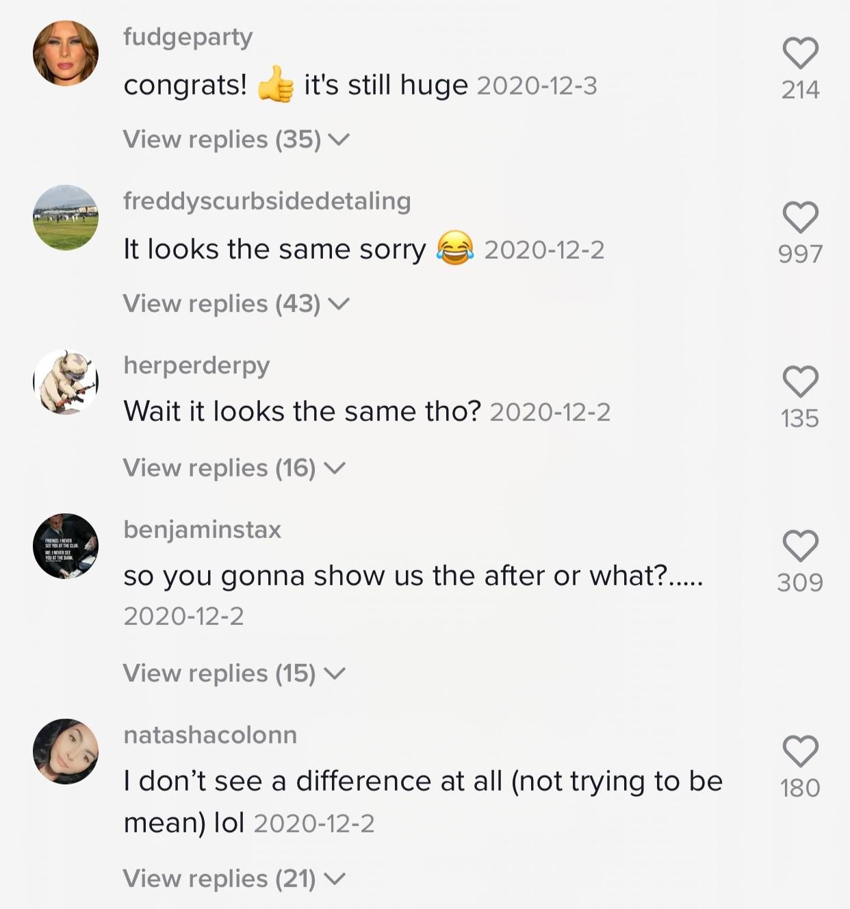 Screenshot showing a TikTok comment section