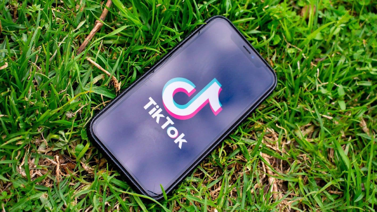 TikTok loading screen on phone in grass