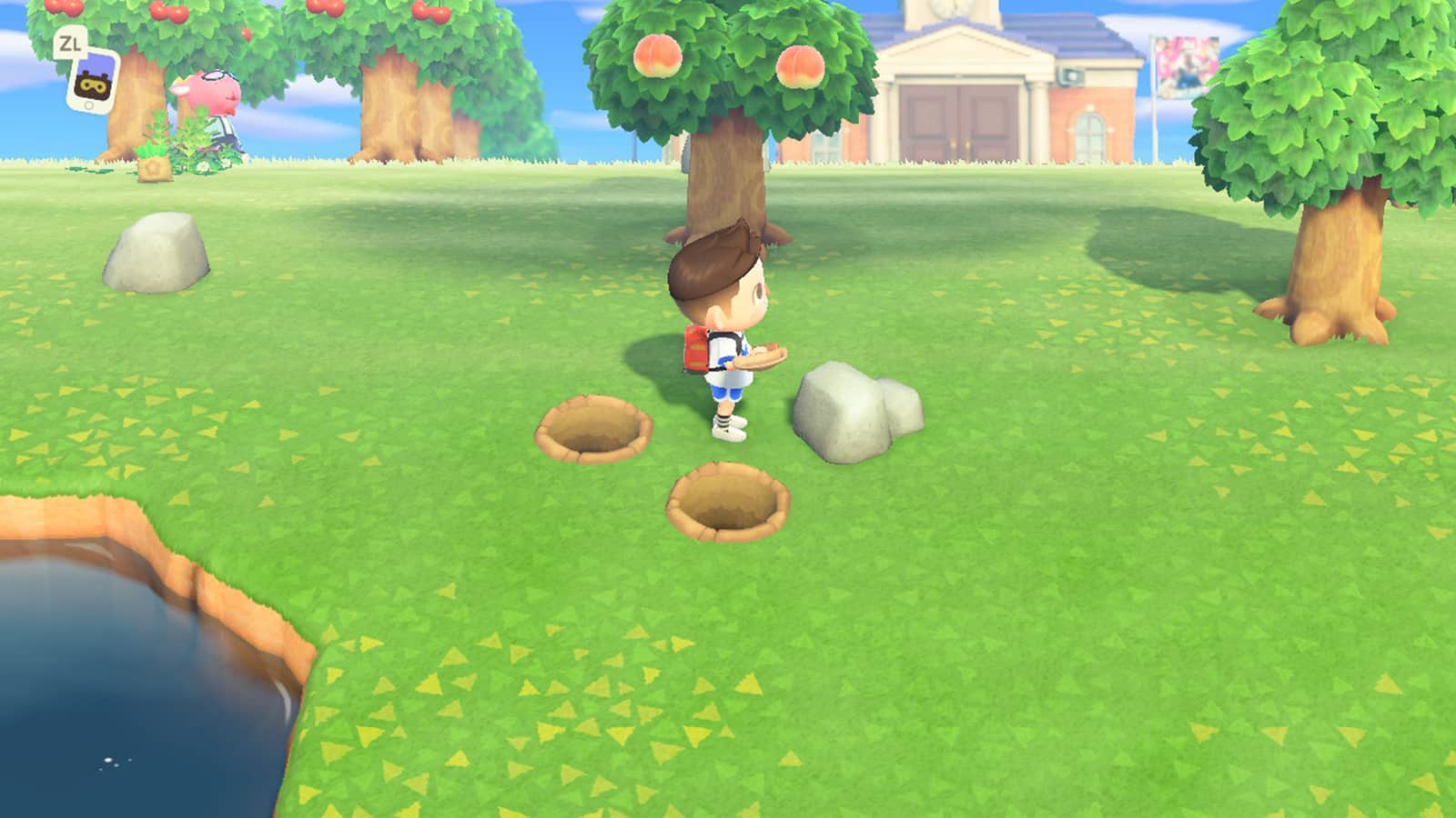 Animal Crossing New Horizons Rocks that get be used to get Iron Nuggets.