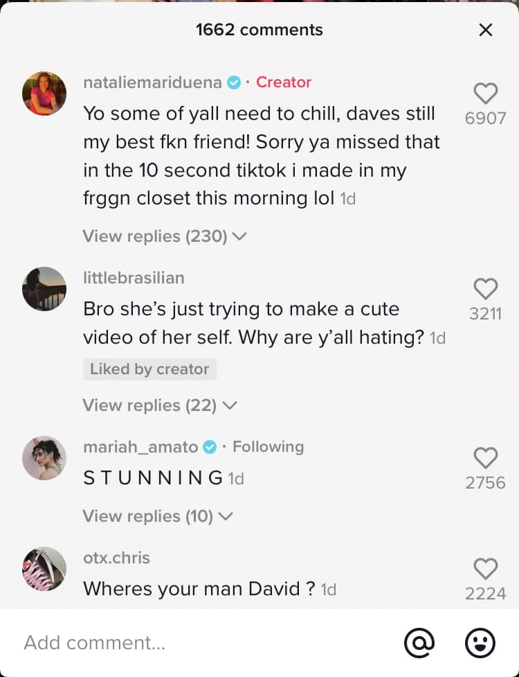TikTok comments about David Dobrik on Natalie Mariduena's account