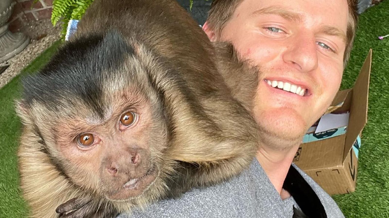 Viral tiktok monkey Georgie boy tragically passes away