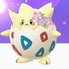 flower crown togepi pokemon go