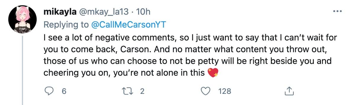 Fan replies to CallMeCarson's tweet