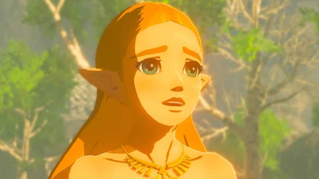 Zelda in Breath of the Wild
