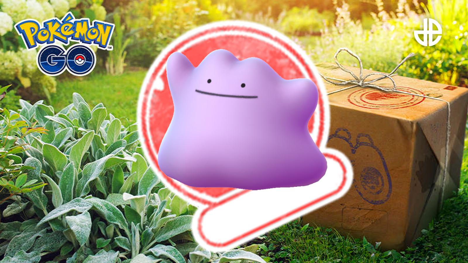 shiny ditto research breakthrough