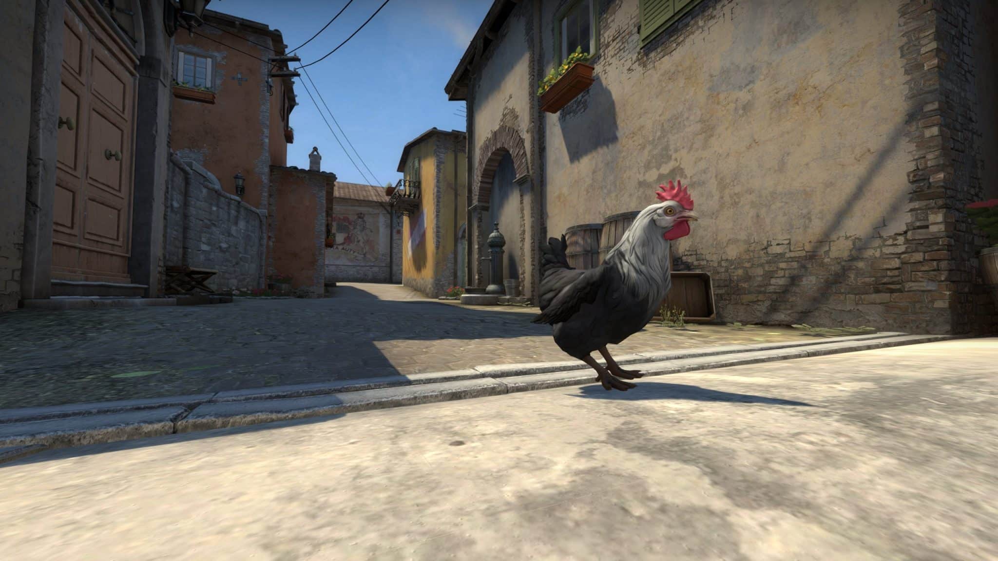 csgo rooster