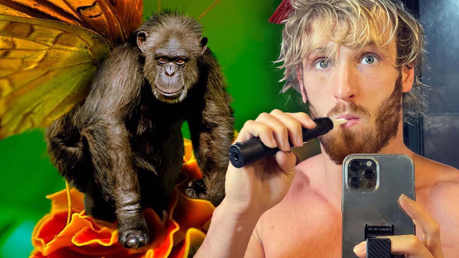 Logan Paul under fire for stealing Adobe Stock images in new NFT 'scam