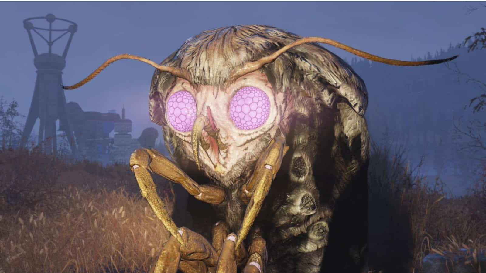 Fallout 76 wise mothman location