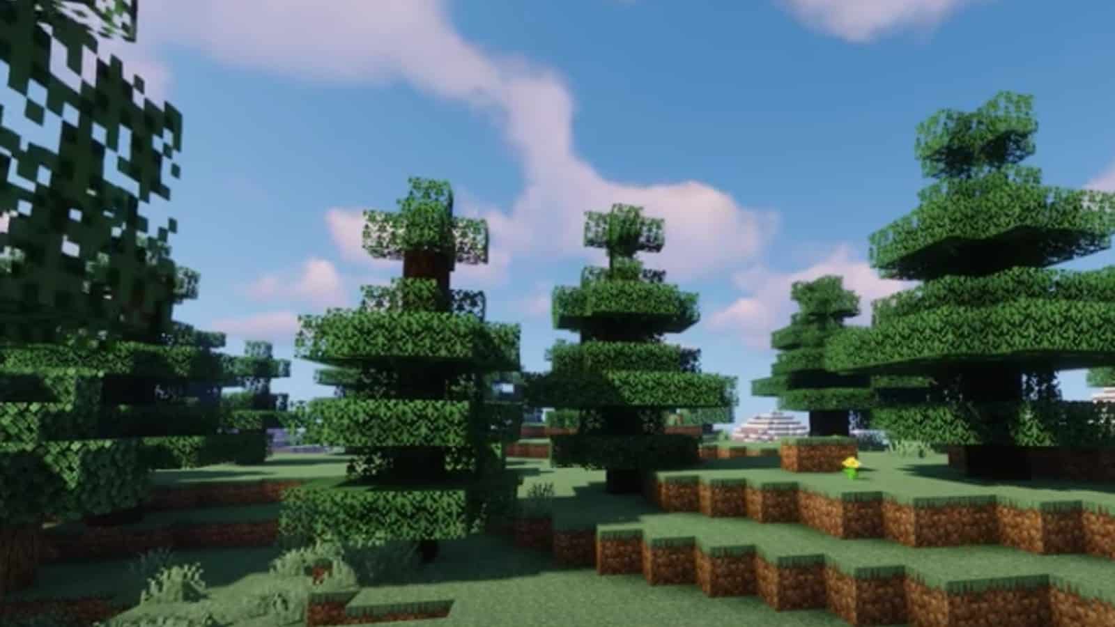 A bright forest in Minecraft using a shader pack