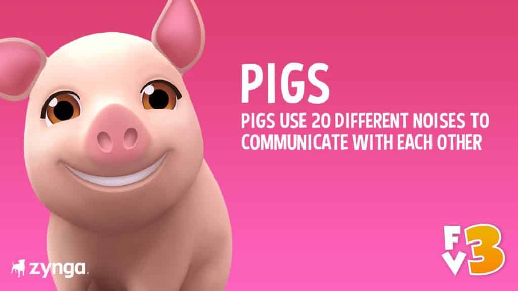 Pigs FarmVille 3