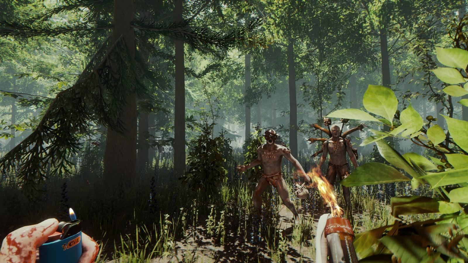 A screenshot of The Forest gameplay