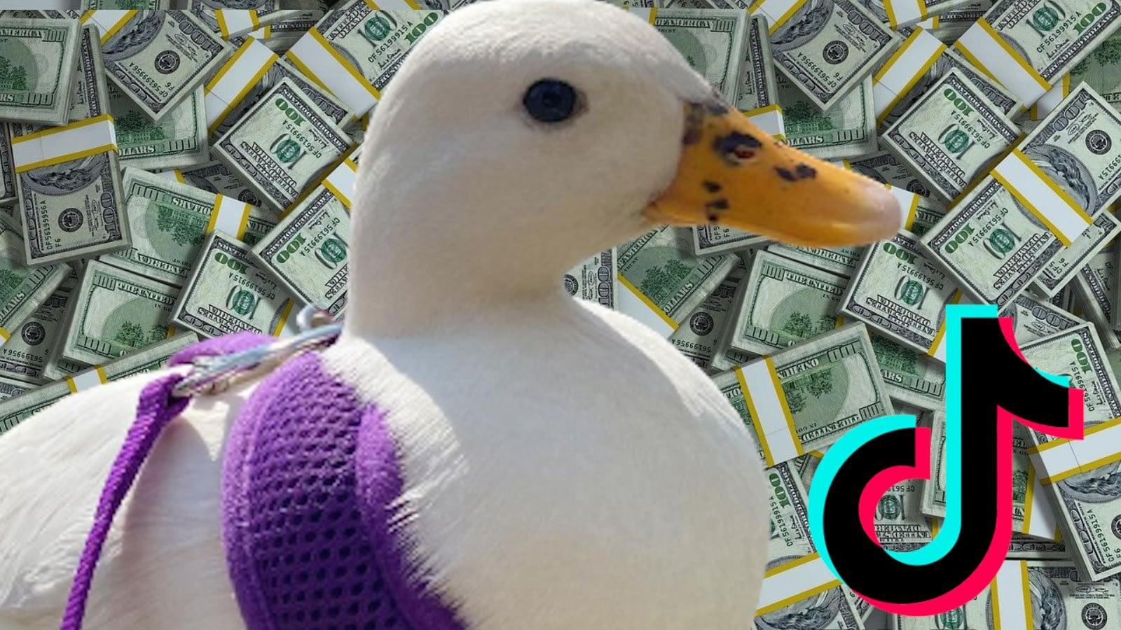 Duck makes $50K on TikTok