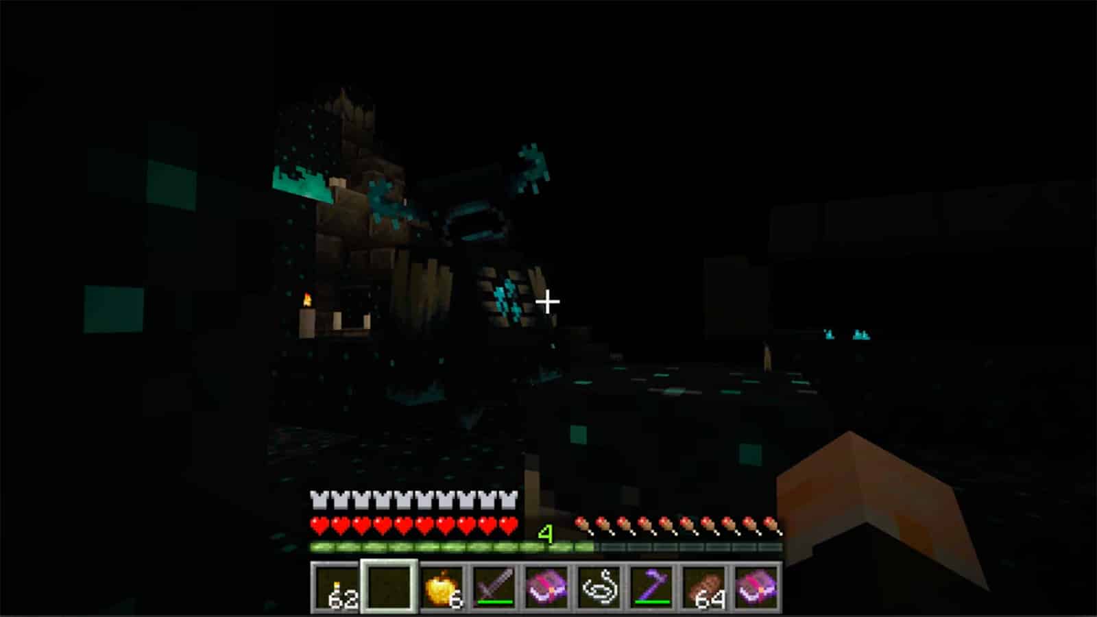 A screenshot of the Deep Dark Biome in Minecraft