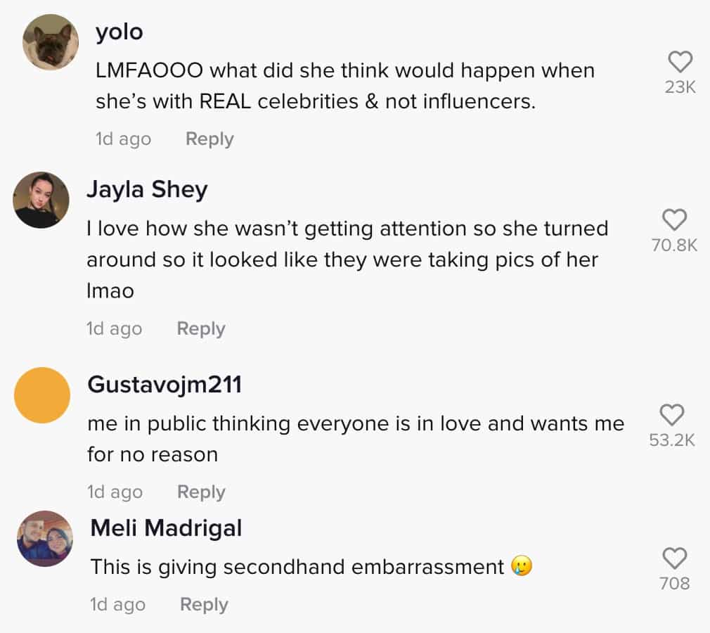 Screenshots of TikTok comments about Nikita Dragun