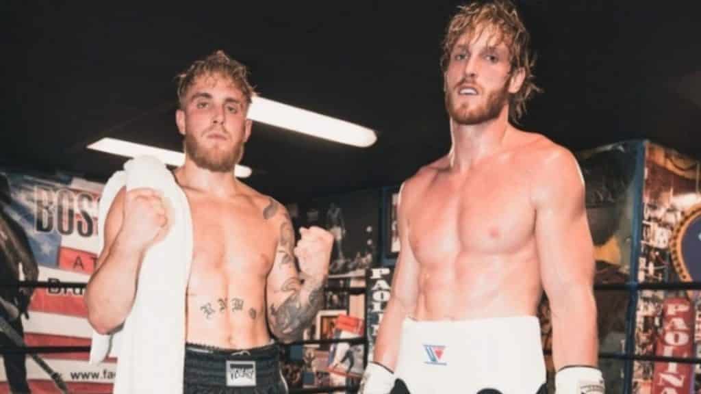 Jake and Logan Paul squaring up in boxing gloves