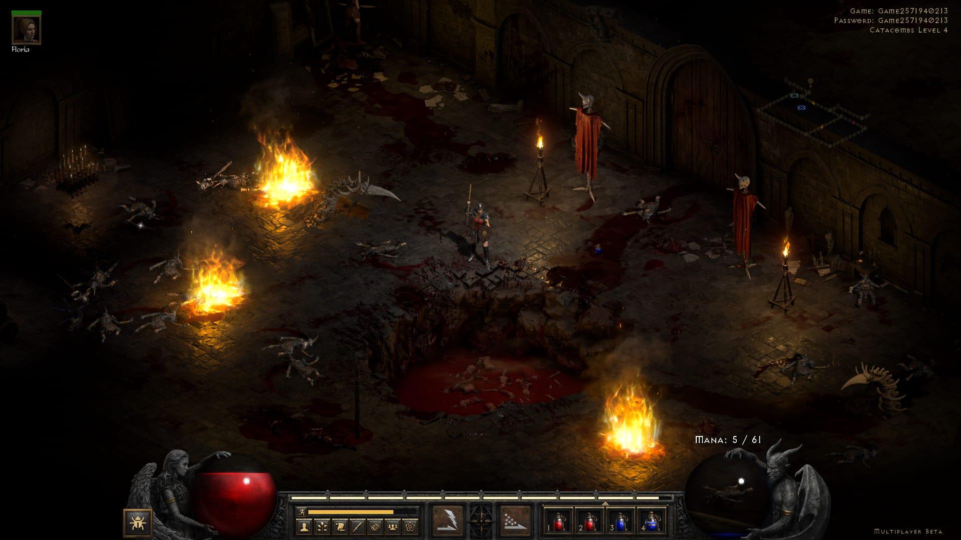Diablo 2 resurrected character stands in a dungeon with pools of blood and skulls mounted on sticks