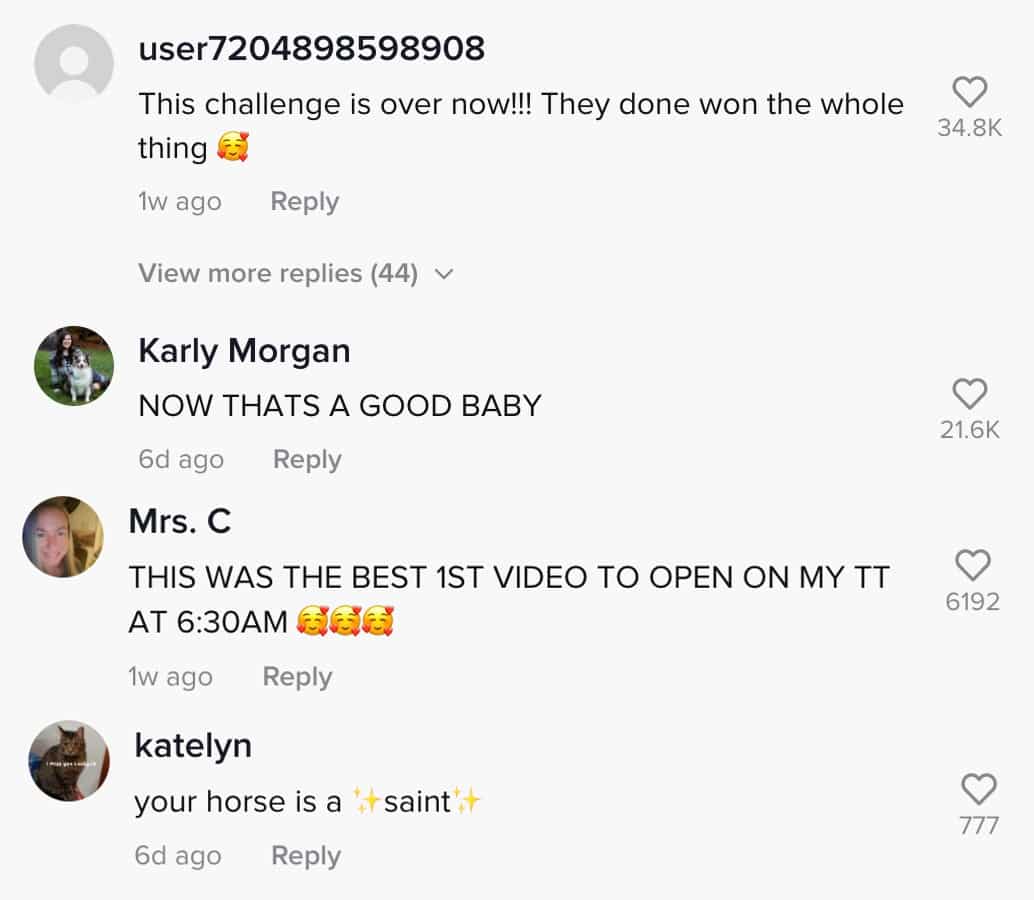 TikTok comments about a dancing horse