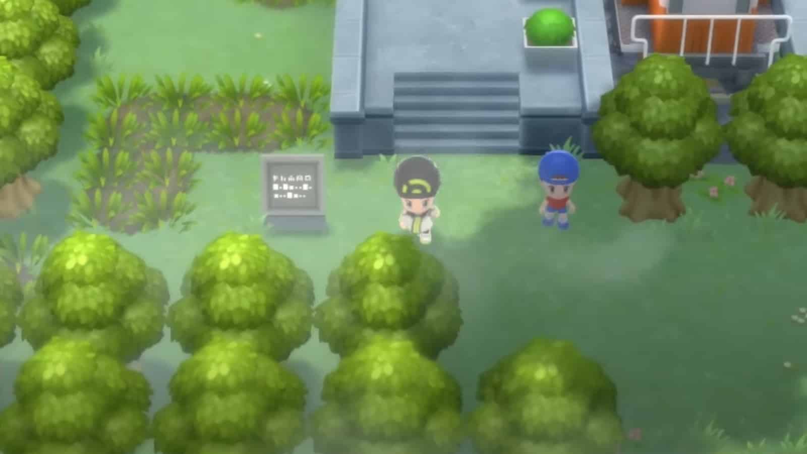 Pokemon Brilliant Diamond & Shining Pearl Great Marsh screenshot