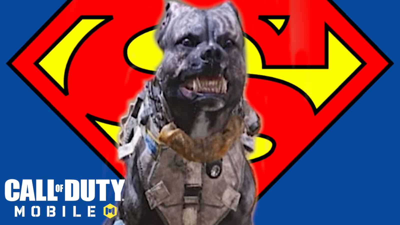 call of duty mobile cod mobile dog superman