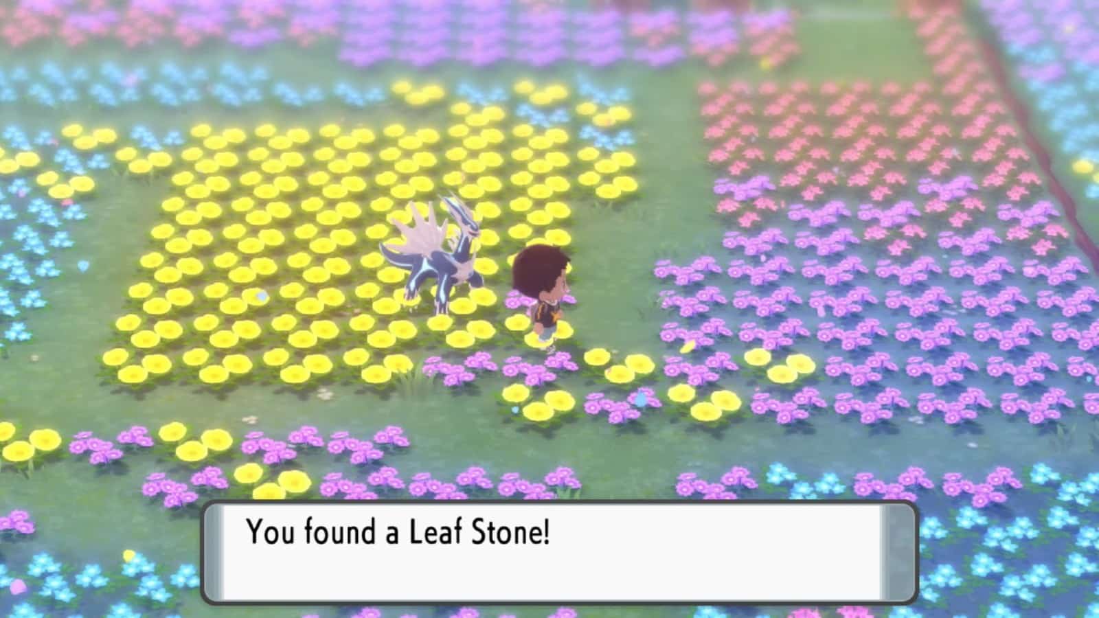 Trainer collects a Leaf Stone in Floaroma Meadow in Pokemon Brilliant Diamond and Shining Pearl