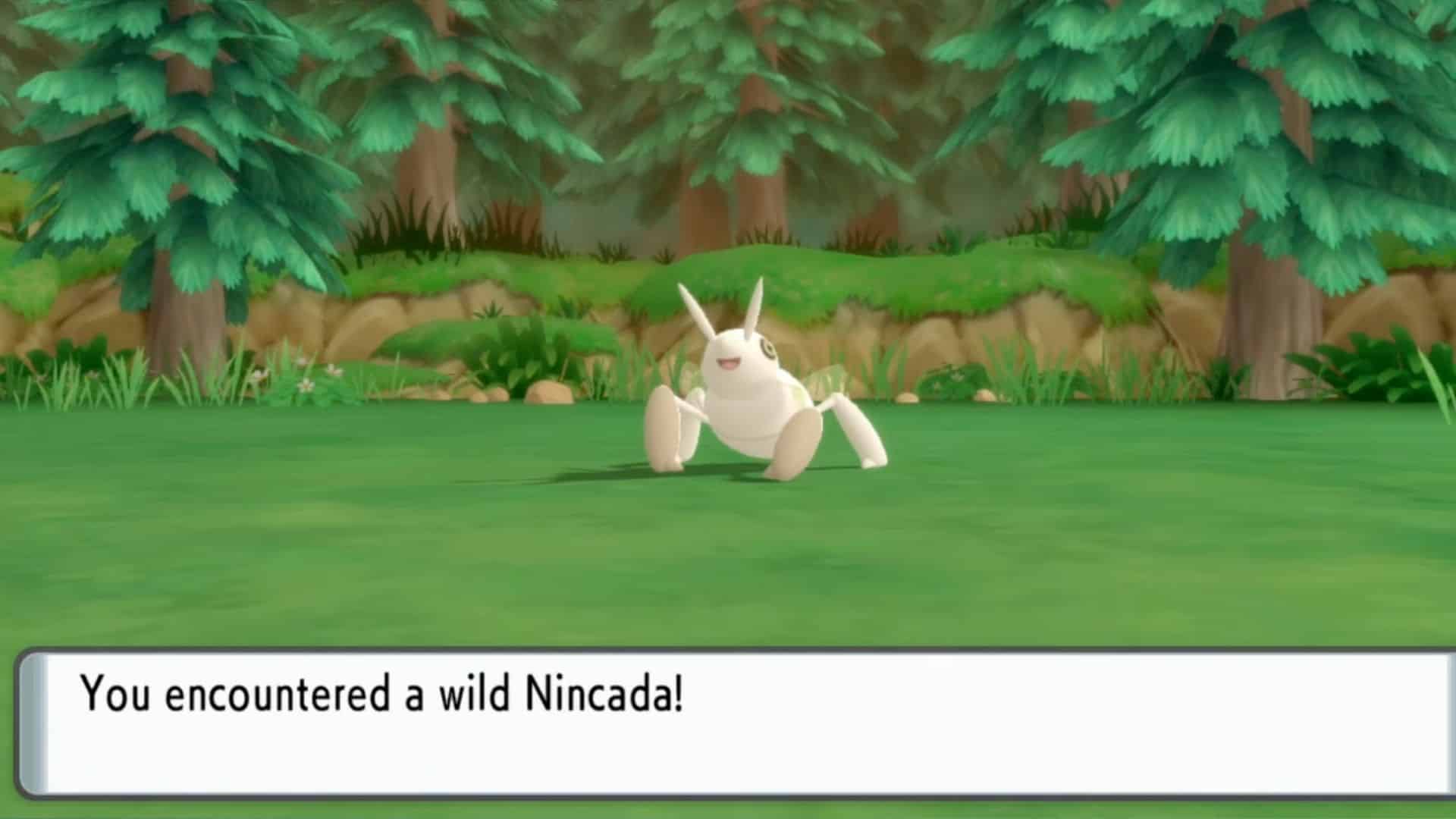 Nincada in pokemon brilliant diamond