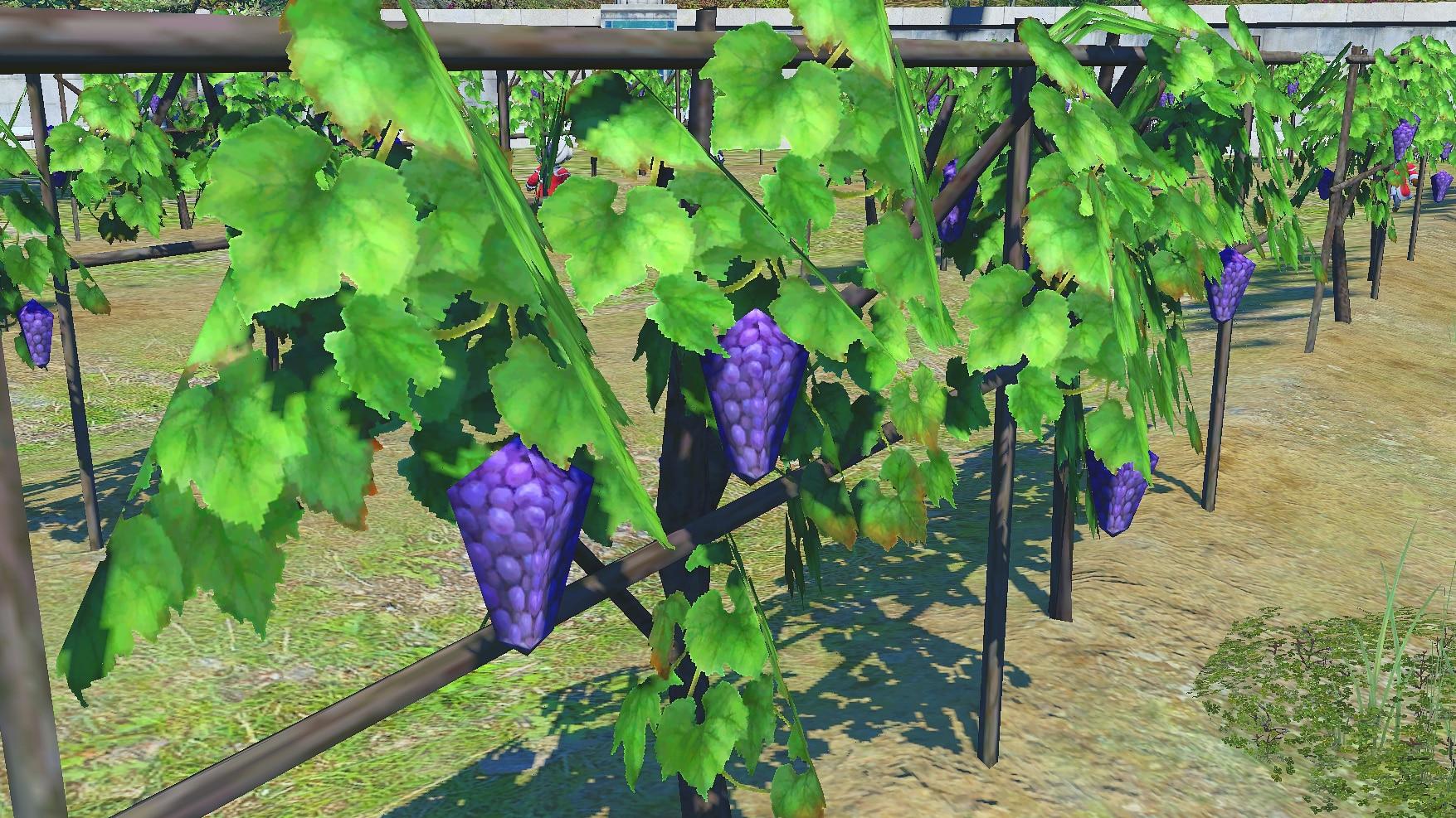 ffxiv online grapes