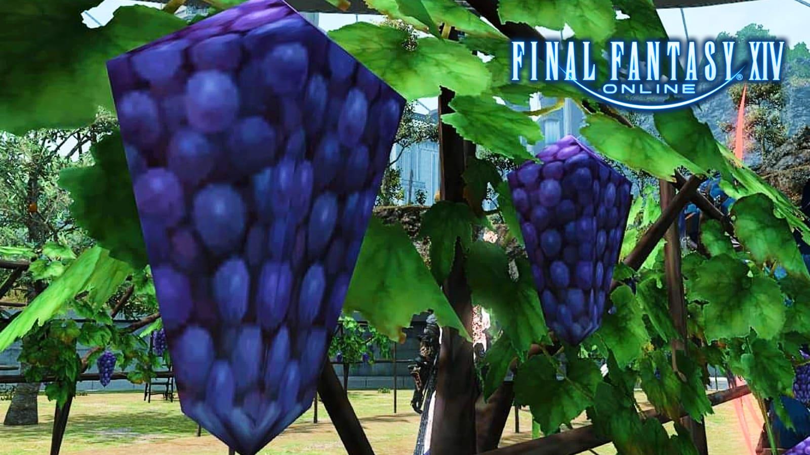 ffxiv grapes in endwalker