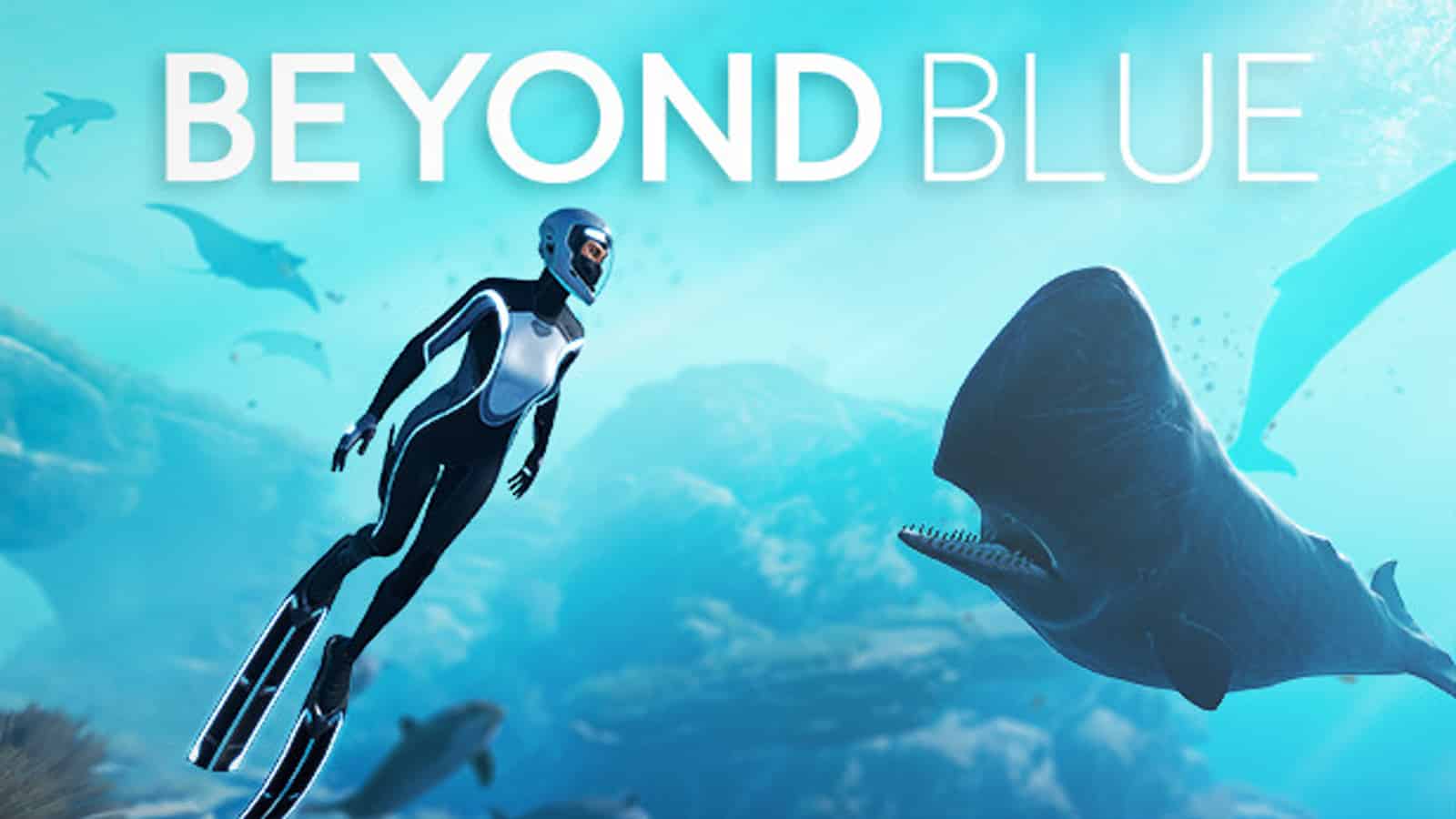 Beyond blue banner