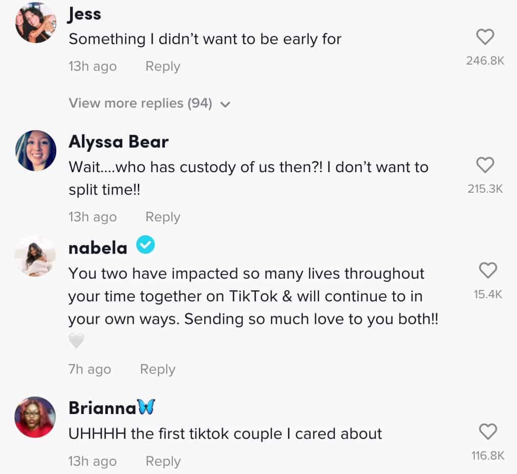 Comments on TikTok about Chris and Ian