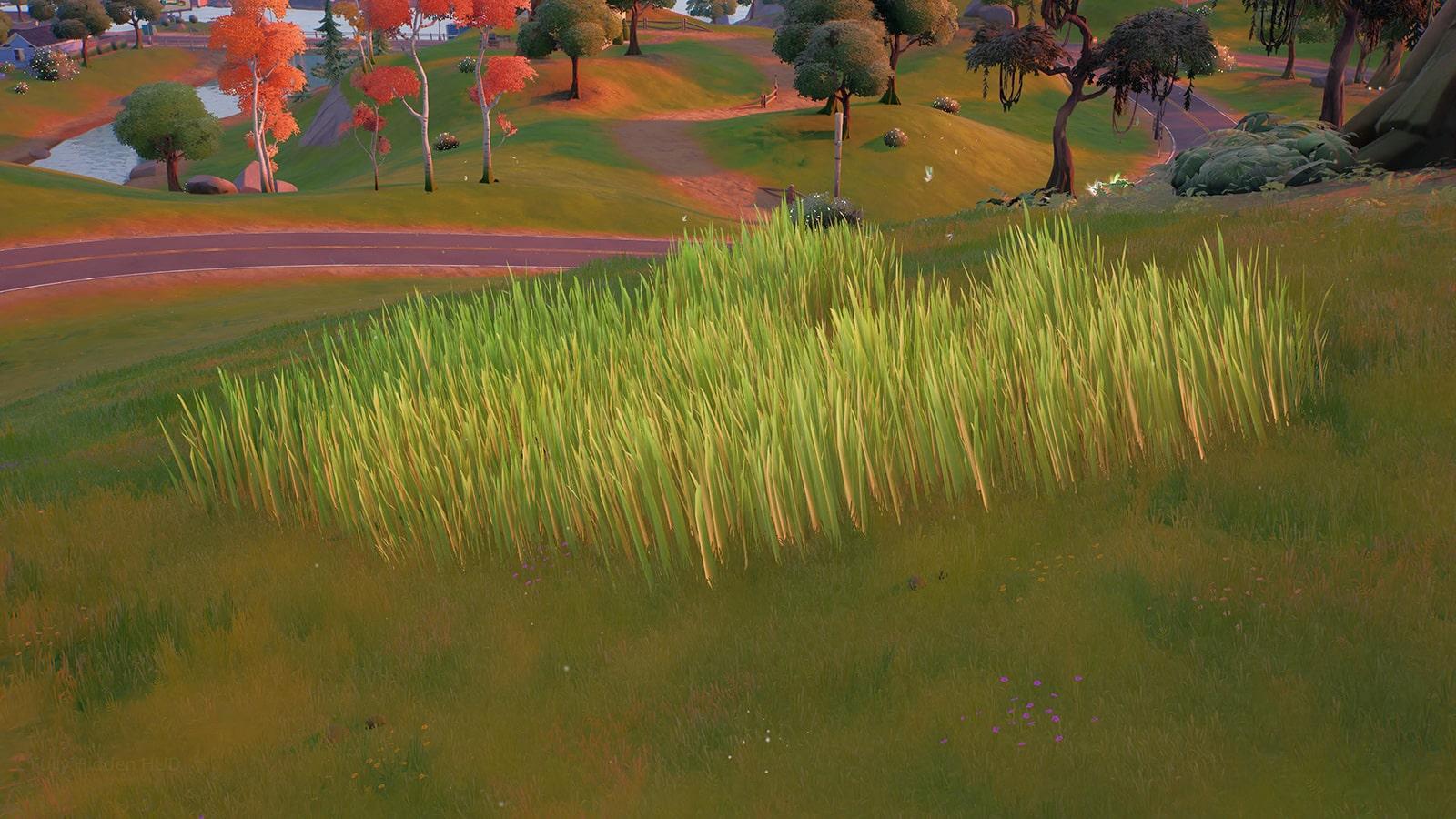 A screenshot of the Tall Grass locations in Fortnite Chapter 3