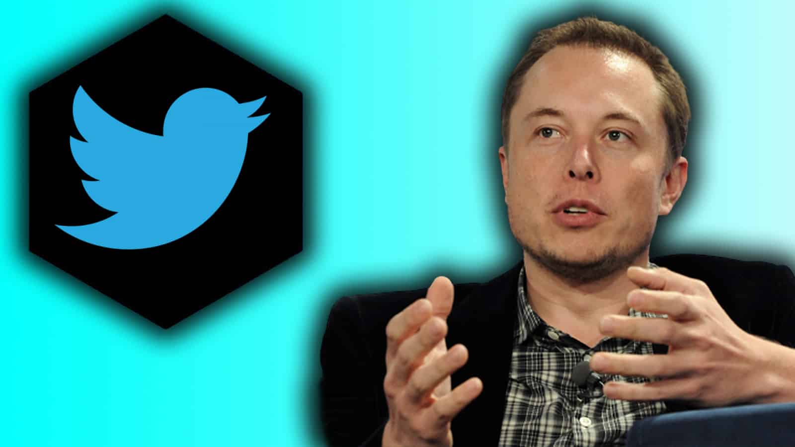 Elon Musk annoyed by Twitter NFT profile picture tool