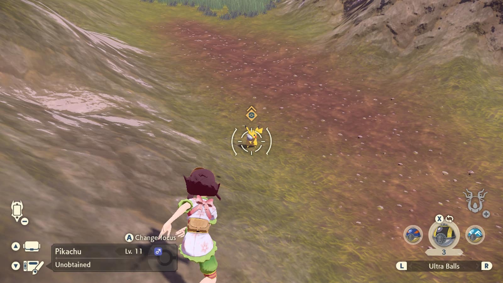 catching pikachu in pokemon legends arceus