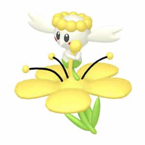Yellow Flower Flabebe