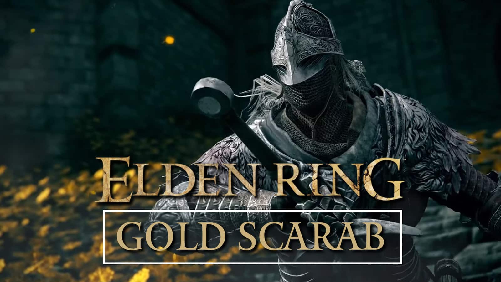 elden-ring-gold-scarab