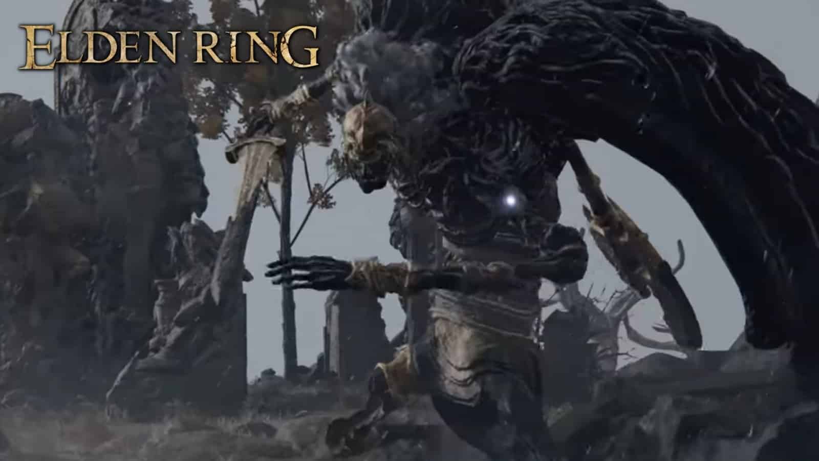 Elden Ring: Malenia, Blade of Miquella, the most tempted boss in the game