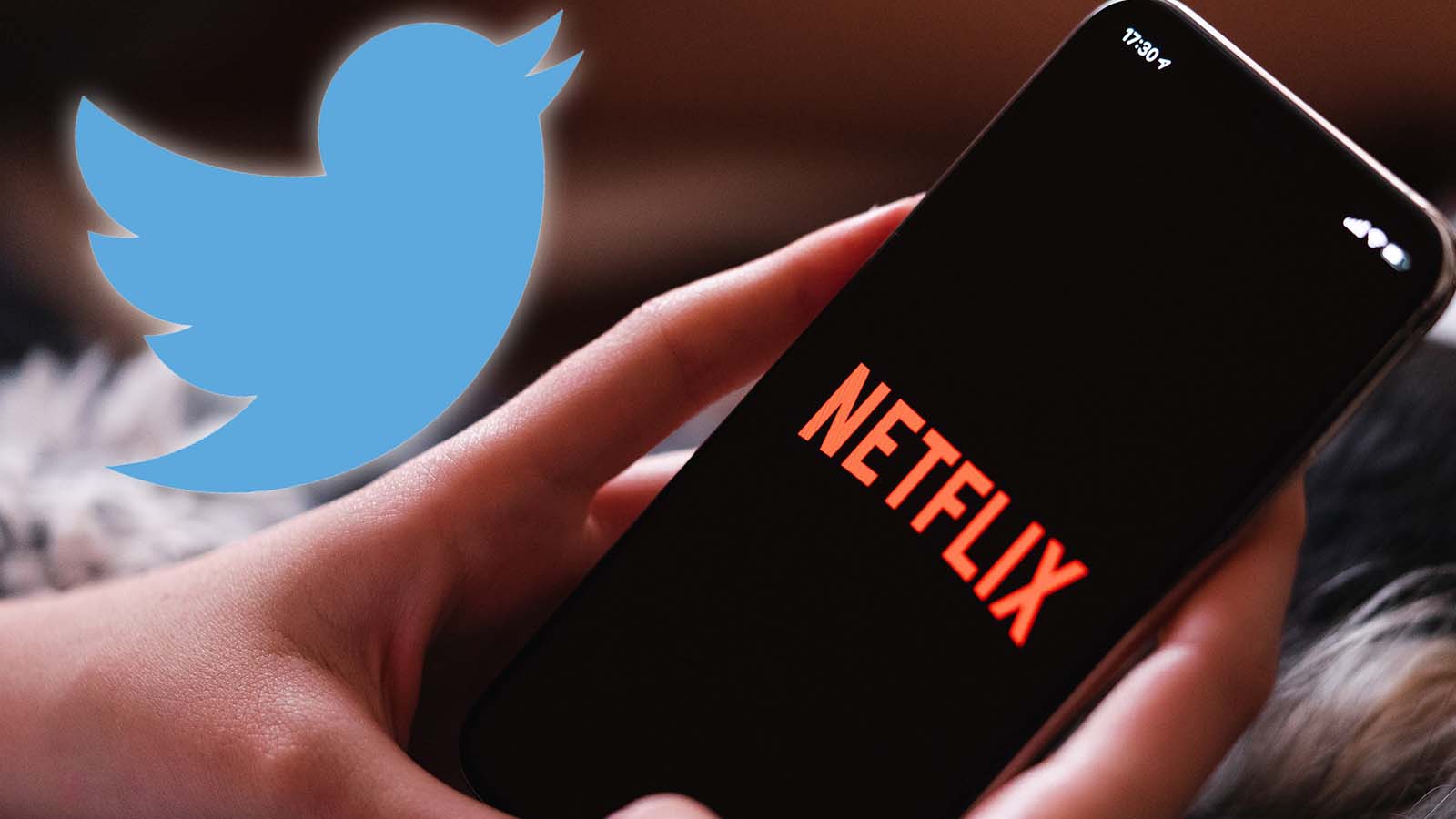Twitter calls you netflix for anti password sharing rules