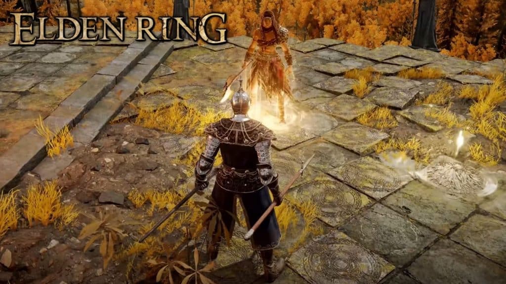 Elden Ring coop summon