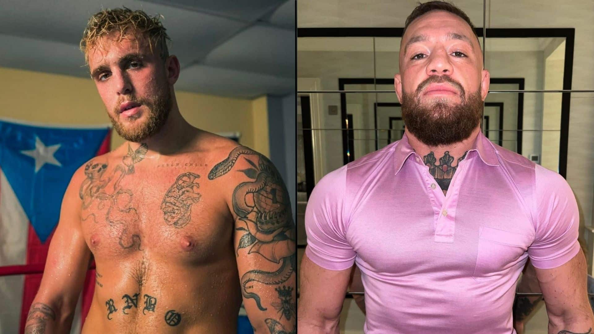Jake Paul and Conor McGregor side-by-side in gym