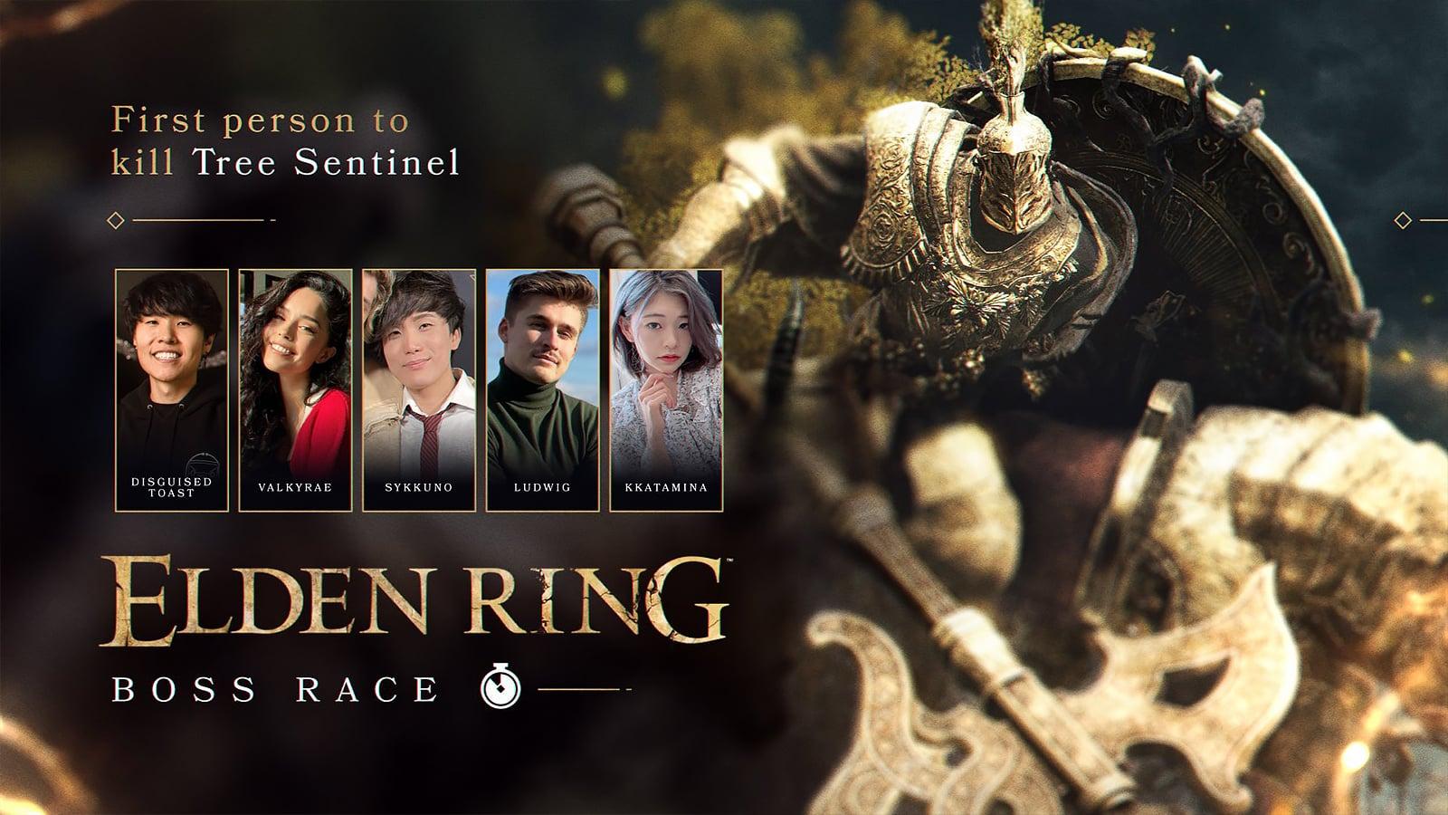 Disguised Toast Elden Ring boss competition poster screenshot.