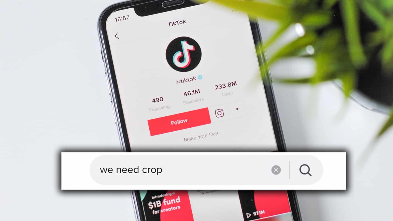 what does we need crop mean on tiktok
